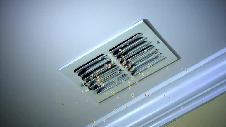Best HVAC Maintenance and Cleaning  in New Paris, OH